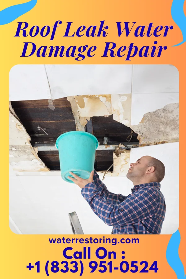 Roof Leak Water Damage Repair in Kappa, IL