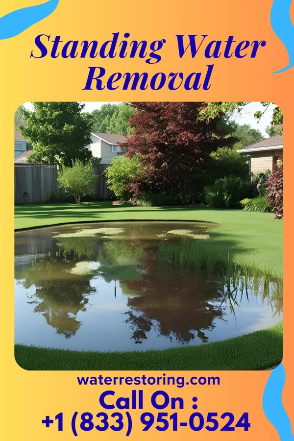 Standing Water Removal in Kappa, IL